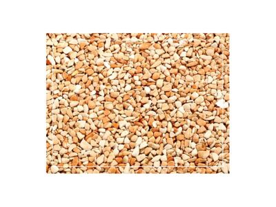 Кам'яний килим Rosa Corallo